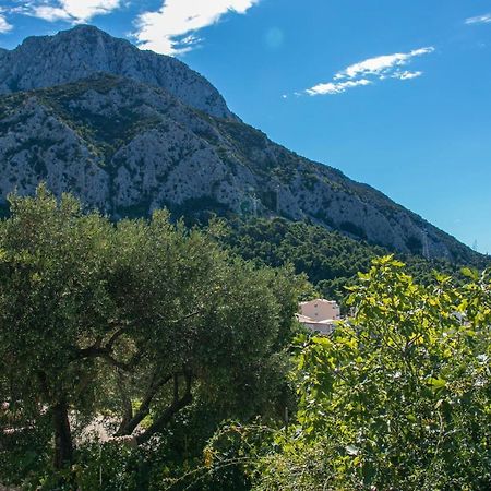 Apartments With A Parking Space Gradac, Makarska - 14708 Eksteriør bilde
